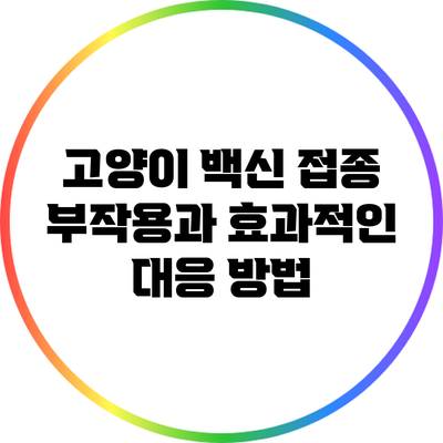 고양이 백신 접종 부작용과 효과적인 대응 방법