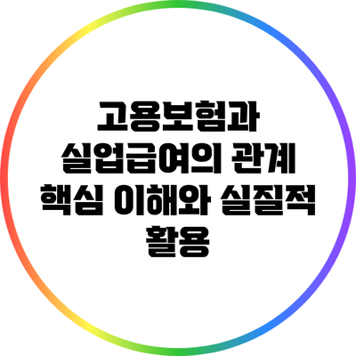 고용보험과 실업급여의 관계: 핵심 이해와 실질적 활용