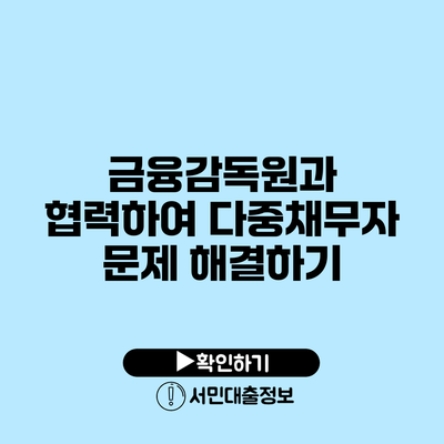 금융감독원과 협력하여 다중채무자 문제 해결하기