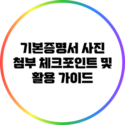 기본증명서 사진 첨부 체크포인트 및 활용 가이드