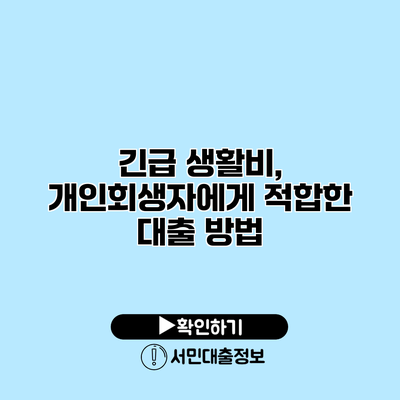 긴급 생활비, 개인회생자에게 적합한 대출 방법