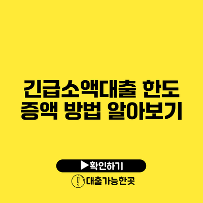 긴급소액대출 한도 증액 방법 알아보기