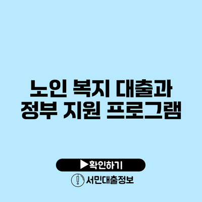 노인 복지 대출과 정부 지원 프로그램