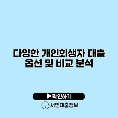 다양한 개인회생자 대출 옵션 및 비교 분석
