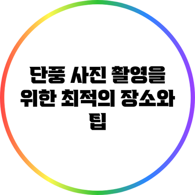 단풍 사진 촬영을 위한 최적의 장소와 팁