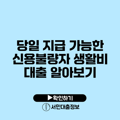 당일 지급 가능한 신용불량자 생활비 대출 알아보기