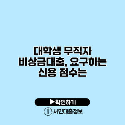 대학생 무직자 비상금대출, 요구하는 신용 점수는?