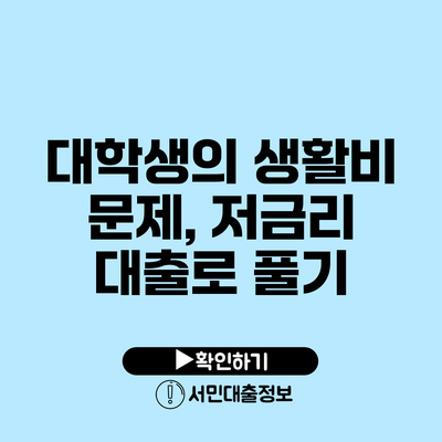 대학생의 생활비 문제, 저금리 대출로 풀기