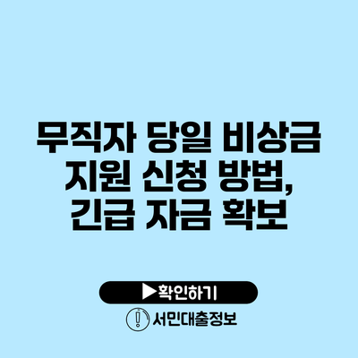 무직자 당일 비상금 지원 신청 방법, 긴급 자금 확보