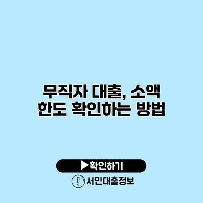 무직자 대출, 소액 한도 확인하는 방법