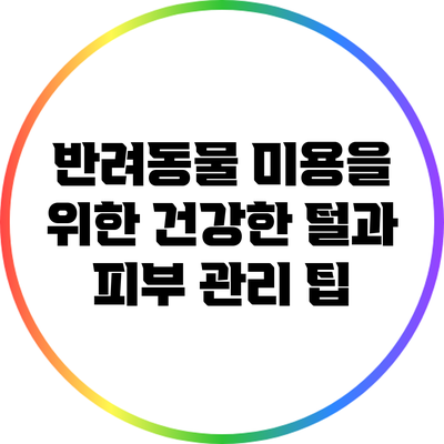 반려동물 미용을 위한 건강한 털과 피부 관리 팁