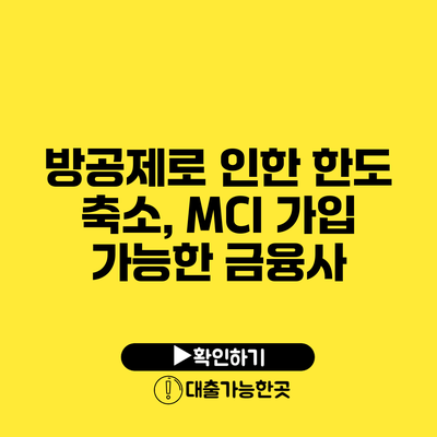 방공제로 인한 한도 축소, MCI 가입 가능한 금융사