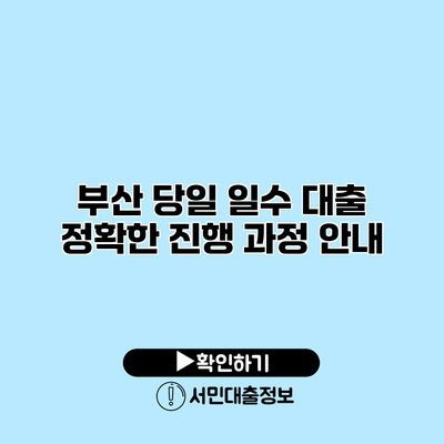 부산 당일 일수 대출: 정확한 진행 과정 안내