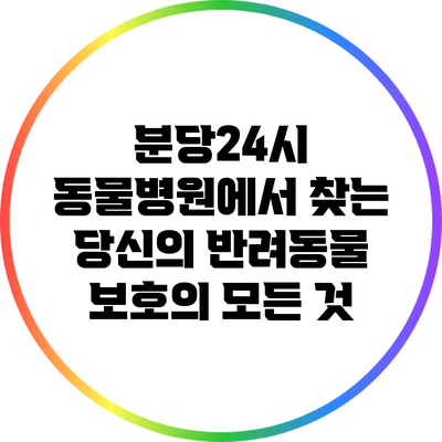 분당24시 동물병원에서 찾는 당신의 반려동물 보호의 모든 것