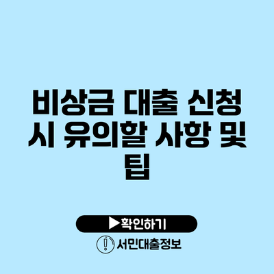 비상금 대출 신청 시 유의할 사항 및 팁