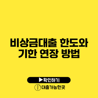 비상금대출 한도와 기한 연장 방법