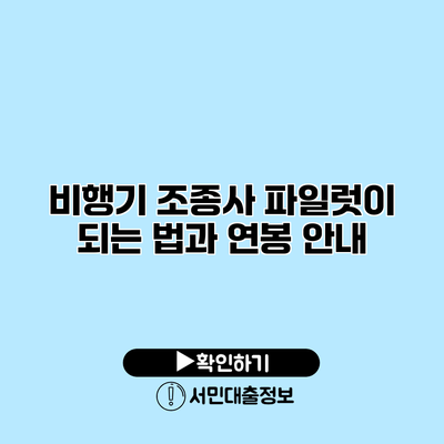 비행기 조종사: 파일럿이 되는 법과 연봉 안내
