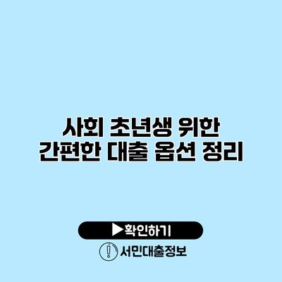 사회 초년생 위한 간편한 대출 옵션 정리