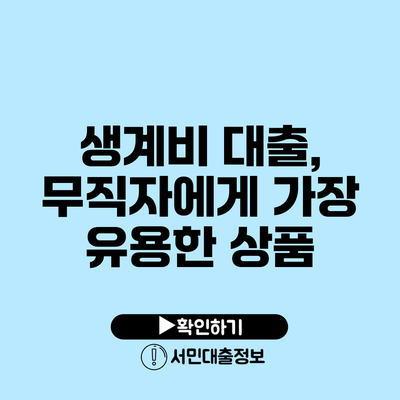 생계비 대출, 무직자에게 가장 유용한 상품