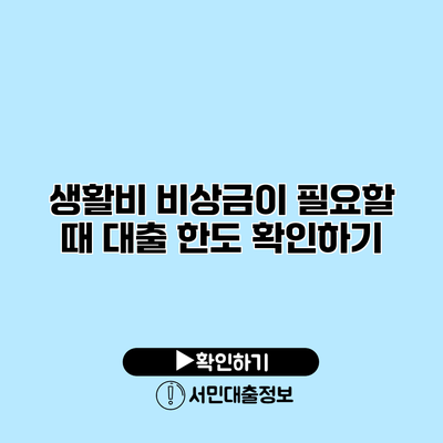 생활비 비상금이 필요할 때 대출 한도 확인하기