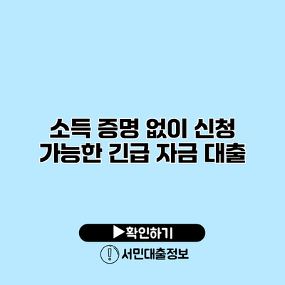 소득 증명 없이 신청 가능한 긴급 자금 대출