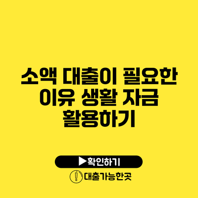 소액 대출이 필요한 이유 생활 자금 활용하기