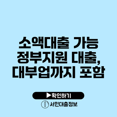 소액대출 가능 정부지원 대출, 대부업까지 포함