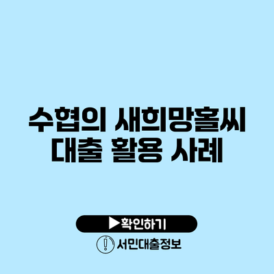 수협의 새희망홀씨 대출 활용 사례
