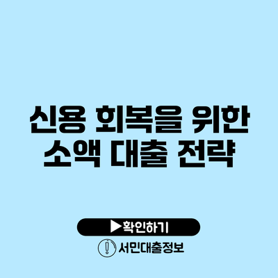신용 회복을 위한 소액 대출 전략