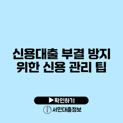 신용대출 부결 방지 위한 신용 관리 팁