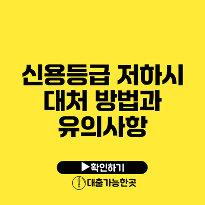 신용등급 저하시 대처 방법과 유의사항