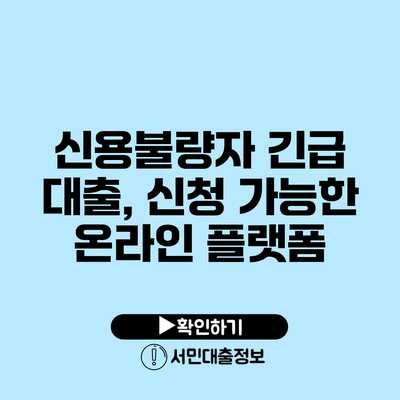 신용불량자 긴급 대출, 신청 가능한 온라인 플랫폼
