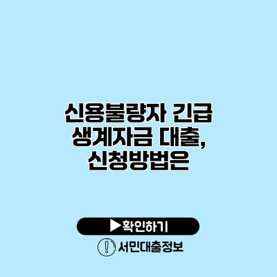 신용불량자 긴급 생계자금 대출, 신청방법은?