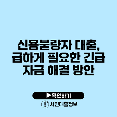 신용불량자 대출, 급하게 필요한 긴급 자금 해결 방안