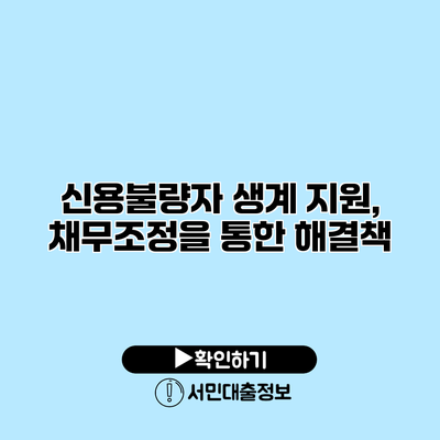 신용불량자 생계 지원, 채무조정을 통한 해결책
