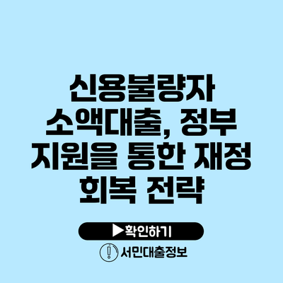 신용불량자 소액대출, 정부 지원을 통한 재정 회복 전략