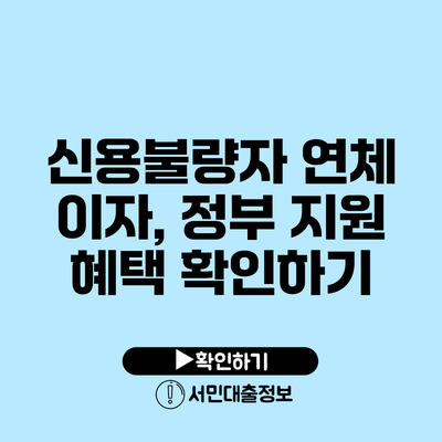 신용불량자 연체 이자, 정부 지원 혜택 확인하기