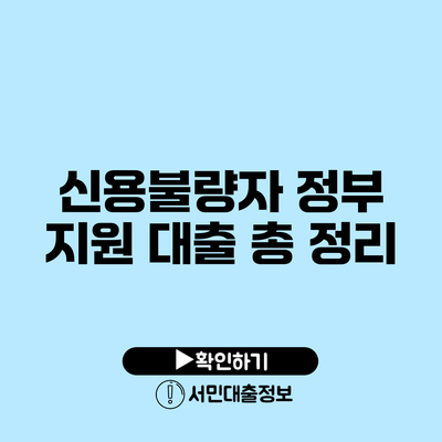 신용불량자 정부 지원 대출 총 정리