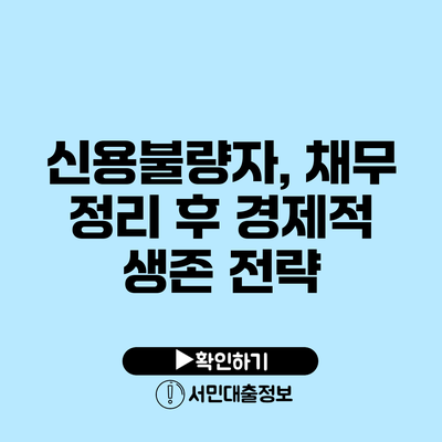 신용불량자, 채무 정리 후 경제적 생존 전략