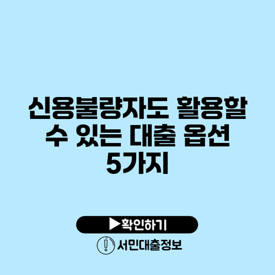신용불량자도 활용할 수 있는 대출 옵션 5가지