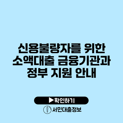 신용불량자를 위한 소액대출 금융기관과 정부 지원 안내