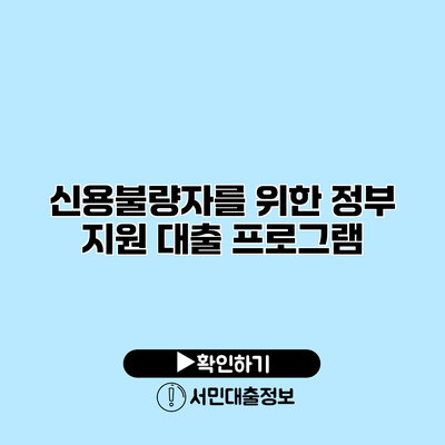 신용불량자를 위한 정부 지원 대출 프로그램