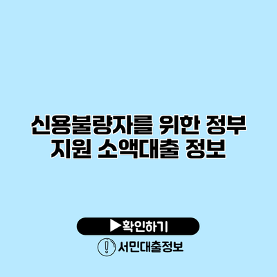 신용불량자를 위한 정부 지원 소액대출 정보