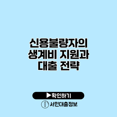 신용불량자의 생계비 지원과 대출 전략