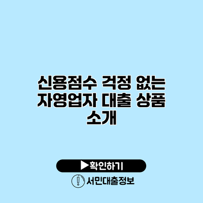 신용점수 걱정 없는 자영업자 대출 상품 소개