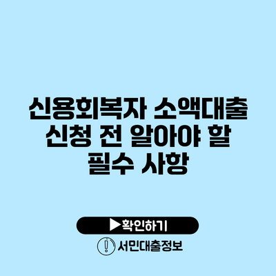 신용회복자 소액대출 신청 전 알아야 할 필수 사항