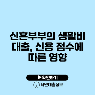 신혼부부의 생활비 대출, 신용 점수에 따른 영향