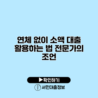 연체 없이 소액 대출 활용하는 법: 전문가의 조언