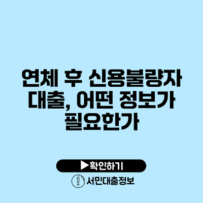 연체 후 신용불량자 대출, 어떤 정보가 필요한가?