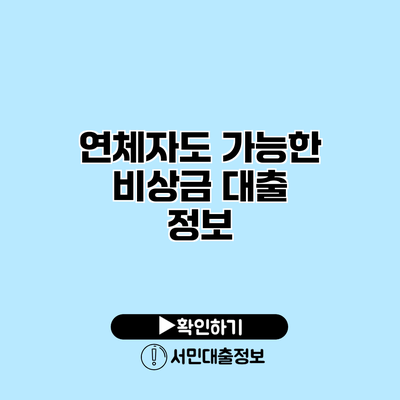 연체자도 가능한 비상금 대출 정보
